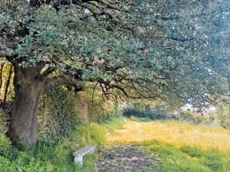 SEJOUR – RELAXATION & BIEN-ETRE ANIMÉ PAR Nathalie BOURGIN