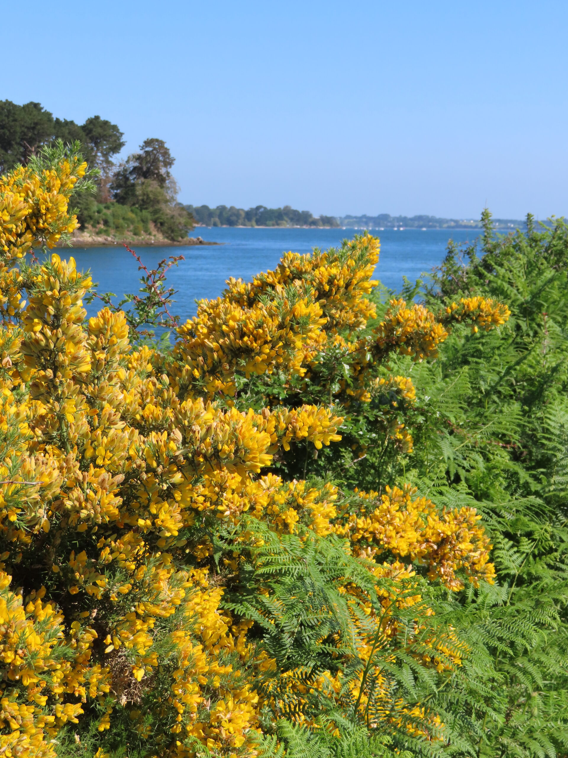 STAGE NATHALIE BOURGIN